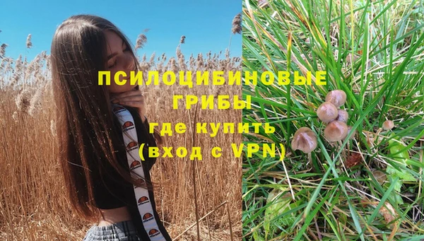 мяу мяу мука Краснотурьинск