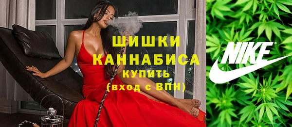 амф Краснослободск
